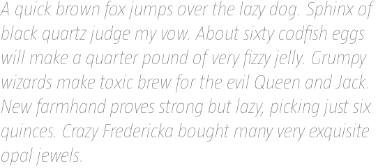 Taz III Hair 14 Italic OT