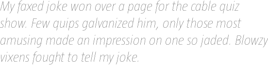 Taz III Hair 14 Italic OT