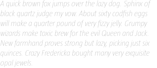 Taz III Hair 09 Italic OT