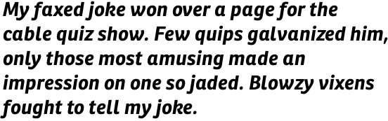 Ronnia Basic Bold Italic OT