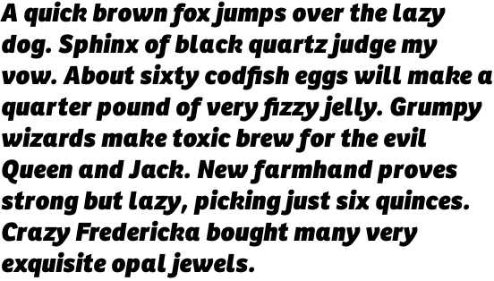 Ronnia Basic Heavy Italic OT