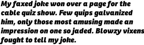 Ronnia Basic Heavy Italic OT