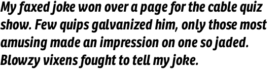 Ronnia Condensed Bold Italic OT