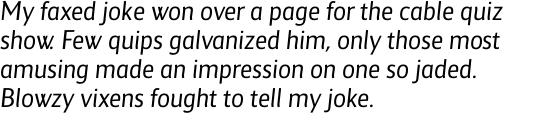 Maya Samuels Light Italic OT