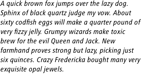 FF Transit Back Negativ OT Regular Italic