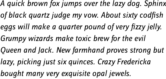 FF Zine Sans Display OT Regular Italic