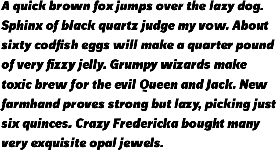 FF Zine Sans Display OT Black Italic