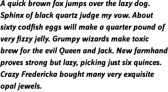FF Zine Sans Display OT Bold Italic