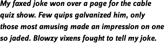 FF Zine Sans Display OT Bold Italic