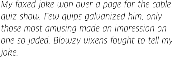 FF Clan OT Narrow Book Italic