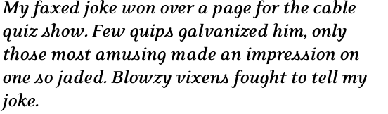 Eidetic Neo Bold Italic OT