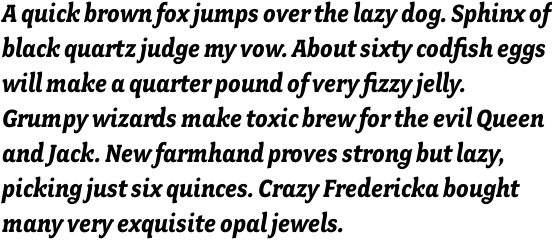 Fairplex Narrow Bold Italic OT