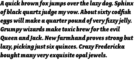 Fairplex Narrow Black Italic OT