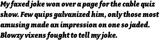 Fairplex Narrow Black Italic OT