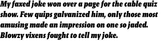 Malaga Narrow Black Italic OT