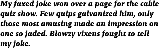 Malaga Bold Italic OT