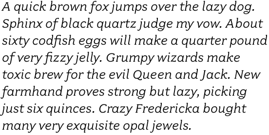 Fairplex Wide Book Italic OT