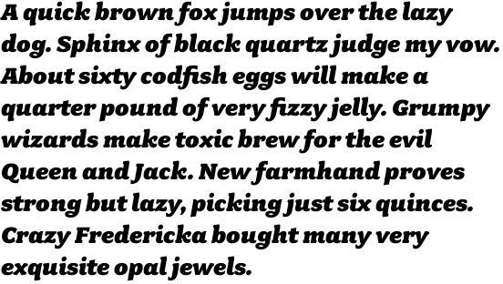 Fairplex Wide Black Italic OT