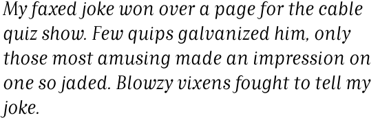 Matrix II Book Italic OT