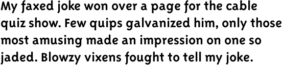 Triplex Sans Bold OT