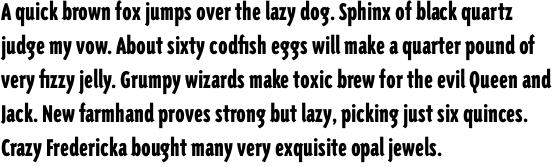 Triplex Condensed Sans Black OT