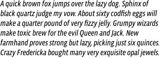 Vista Sans Narrow Italic OT