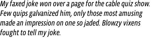 Vista Sans Narrow Italic OT