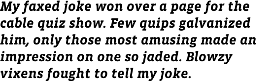 Vista Slab Bold Italic OT