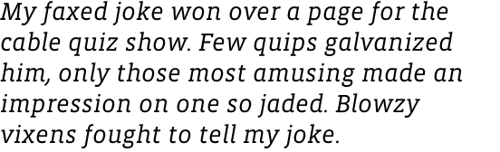 Vista Slab Book Italic OT