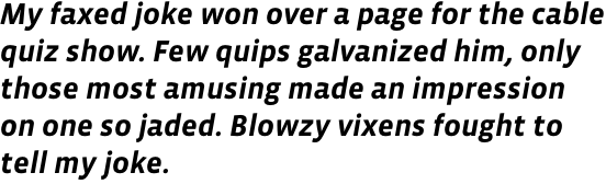 Vista Sans Bold Italic OT