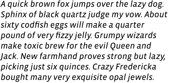 Vista Sans Regular Italic OT