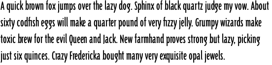 Triplex Condensed Sans Regular OT