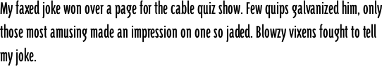 Triplex Condensed Sans Regular OT