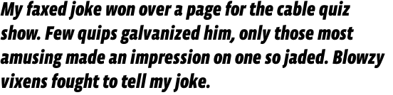 Vista Sans Narrow Black Italic OT