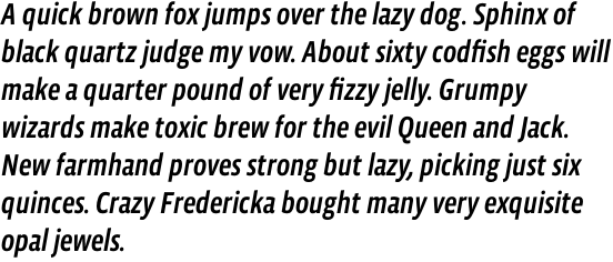 Vista Sans Narrow Medium Italic OT