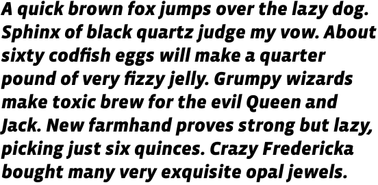Vista Sans Black Italic OT