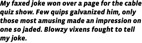 Vista Sans Black Italic OT
