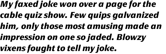 FF Page Sans OT Bold Italic