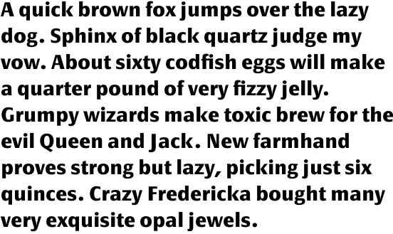 FF Page Sans OT Bold