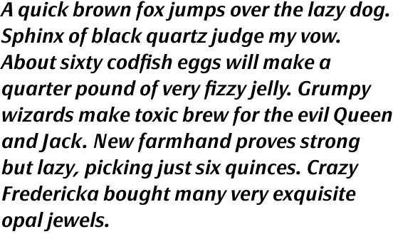 FF Page Sans OT Demi Bold Italic