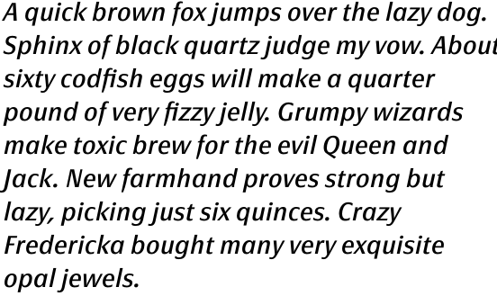 FF Page Sans OT Regular Italic