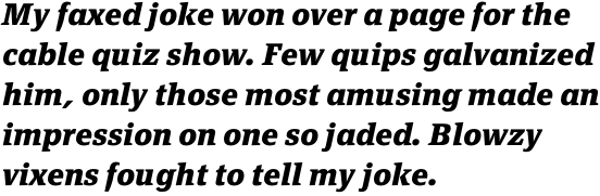 FF Page Serif OT Bold Italic