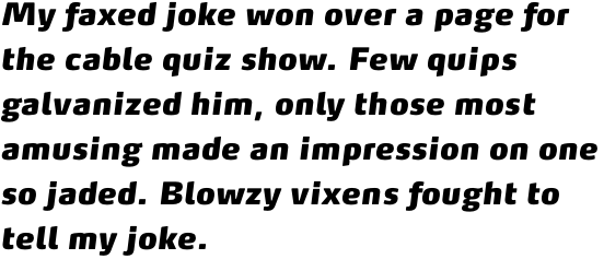 FF Max OT Fat Italic