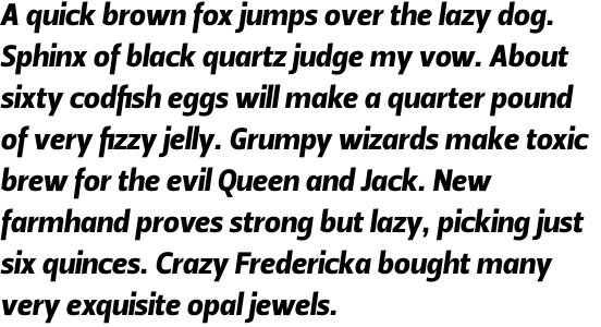 Leitura Sans Italic 4