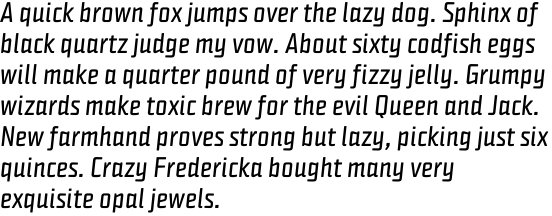 Capricorn Regular Italic