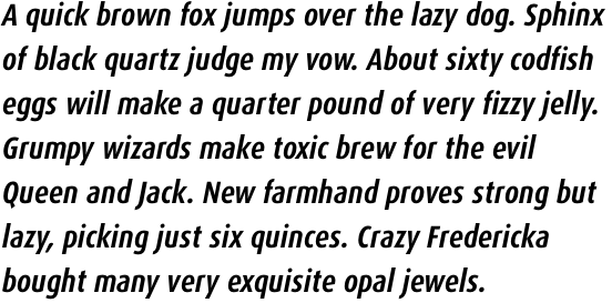 FF Dax Pro Condensed Bold Italic