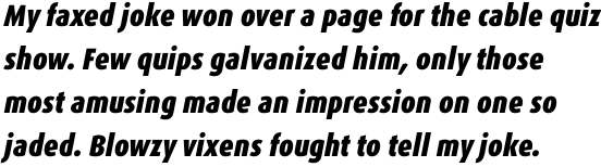 FF Dax Pro Condensed Black Italic