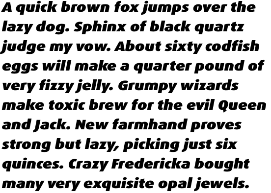 FF Dax OT Wide Black Italic