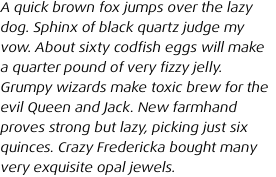 FF Dax Pro Wide Regular Italic