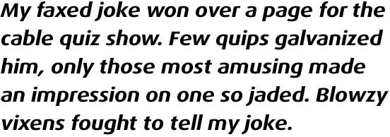 FF Dax Pro Wide Bold Italic
